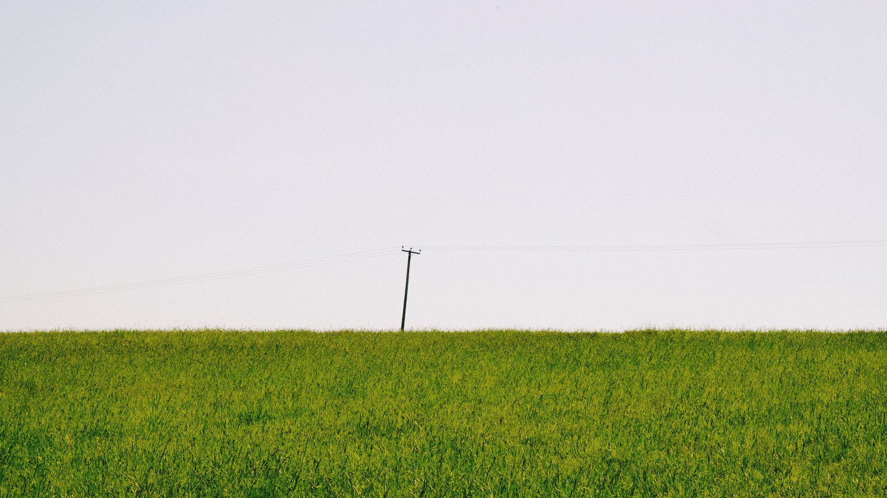 Minimalist photo of a green field with a solitary telegraph pole against a pale sky
